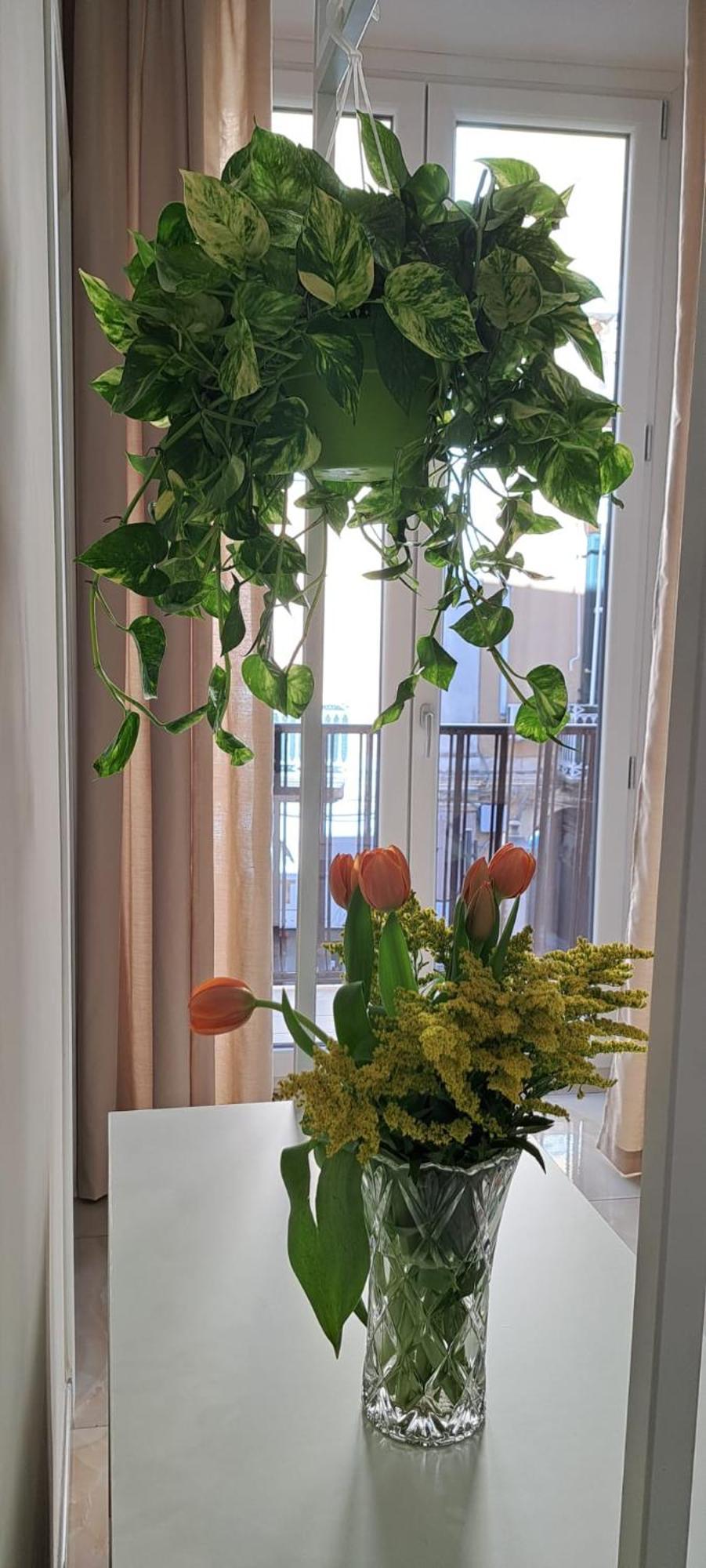 B&B Al Corso Pagani Zewnętrze zdjęcie